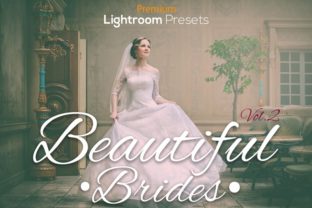 Download Beautiful Brides Lightroom Presets Vol.2 - Premium Resources